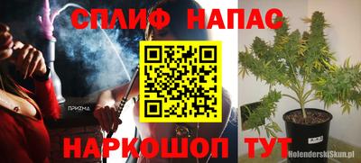 гидра Пенза