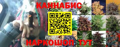 спайс Обь