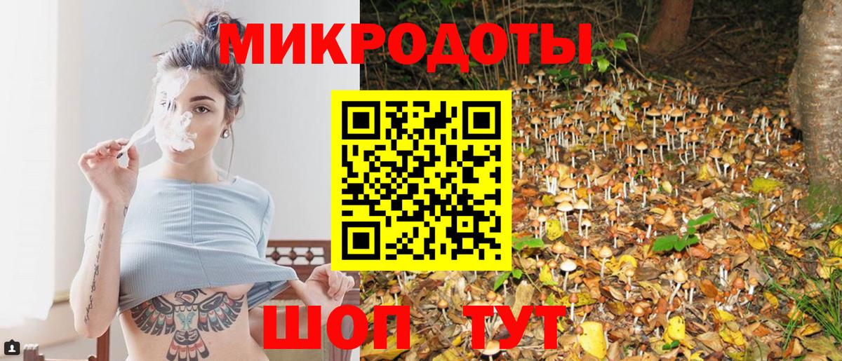 Псилоцибиновые грибы Cubensis Торжок